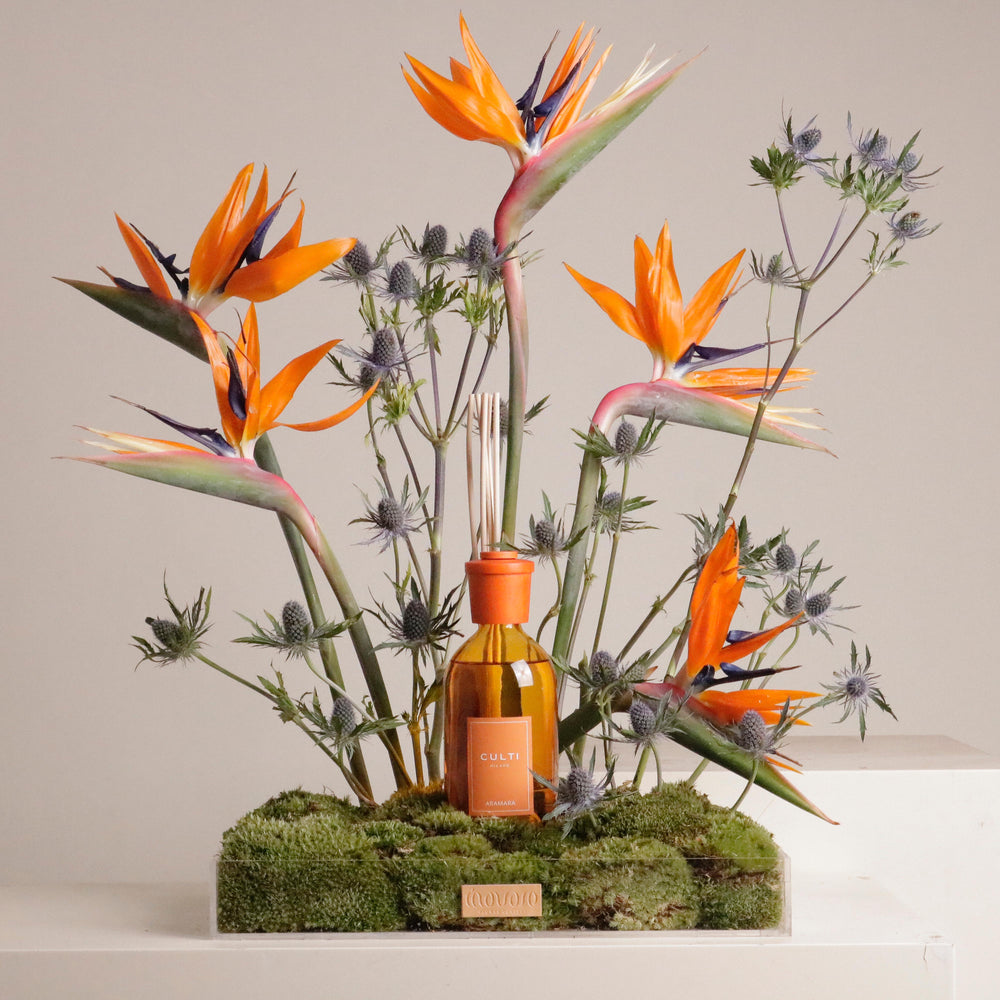 FLOWER & DIFFUSER GIFT ORANGE